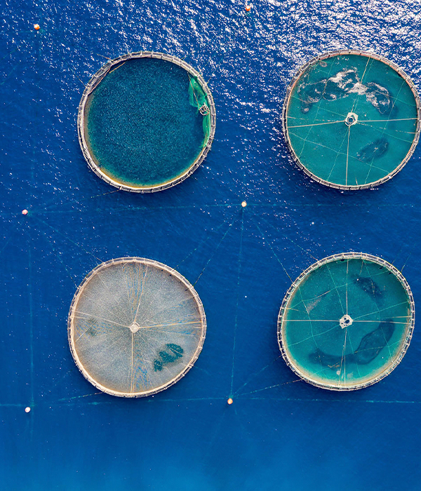 Ship Portholes