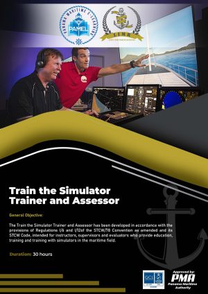 Train the Simulator Trainer and Assessor